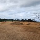 제주파크장 이미지