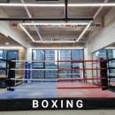 대전 여성복싱 이미지