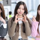 마야 카카오 검색결과