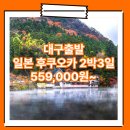 동양항공여행사 | 후쿠오카_2박3일 #유후인 #벳푸 #야나가와 #일본 #TW #석석 (규슈) / 대구출발 해외여행 여행사 / 대구공항