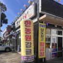 제주감귤농장 추천 &#39;한농원&#39; 황금향 내돈내산 후기