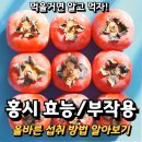 홍시 - 고성군 성내로 149-15 | 홍시