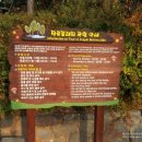 장도포대지 이미지