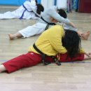 용인대KAT태권도 이미지