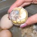 오늘은오리먹는날 이미지