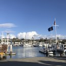 뉴포트비치 이미지