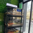 콜어스 | [서울 잠실] 석촌호수 근처 브런치 맛집 '슬로우어스' 🐢 내돈내산 후기