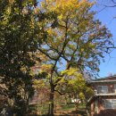 양림펭귄마을 협동조합 이미지