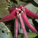 감골1로 이미지