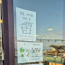 제주 조천수산 회 포장 후기, 18코스 편의점 테이블 대여 야장명소