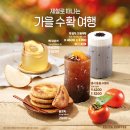 이디야강릉강문