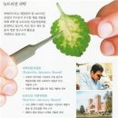 허벌라이프 독립디스트리뷰터