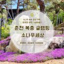 춘천 글램핑 / 춘천 캠핑장 추천! ‘소나무세상’에서 즐긴 완벽한 춘천 가족여행 후기