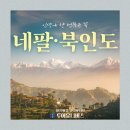 타지마할과 인도 이슬람 건축의 상징성 | [겨울 여행지 추천] 네팔/북인도 11일 패키지 여행적기, 경비