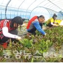 2020농장 이미지