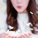 4/4~4/5 남해 여행 (사천 선진리성 벚꽃 ) 이미지