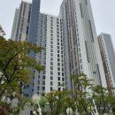 태영성모의원 Daum카페