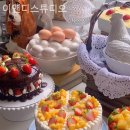 캐모마일스튜디오