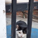 프리즘홀 | 아스노조케이 &#34;ASUNOJOKEI LIVE IN SEOUL&#34; 내한공연 후기 (240113) @ 프리즘홀