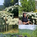 보람산부인과의원 이미지