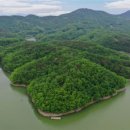 치유의숲 이미지