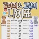 ■ 댕댕이와 냥이 인간 나이로 환산하면... 이미지