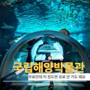 해양4로 | 부산 무료 아쿠아리움 후기 아이랑 가기 진짜 괜찮았던 국립해양박물관 솔직 방문기