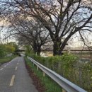 견탄교차로 이미지