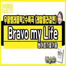훌라걸우쿨렐레