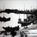 명품광천토굴새우젓 이미지