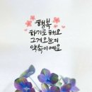 미리별