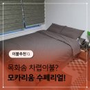 목화솜 차렵이불 모카리움 수페리얼 사용후기