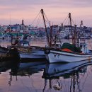 강릉중앙약국 이미지