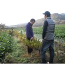 여송농장 이미지