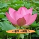 [♥사랑모/리듬댄스] 실버아이TV, 66통합발 배우기(조사부; 조성래) 이미지