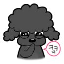 숲속애견랜드 이미지