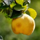 삼성2동주민센터 이미지