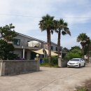 표선리-19 이미지