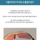 더폭스디자인 이미지