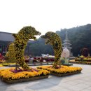 달과 함께 걷다 이미지