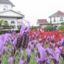 (주)허브동산