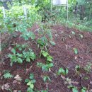 대신자원 이미지