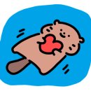 왁싱소라