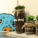 반려하다 이미지