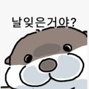 털빨샵 | 배뚱이 임신일기를 빙자한 내가 뭐먹엇는지 적어놓기 4탄 (17주~18주)