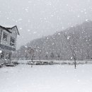 마중펜션캠핑장 이미지