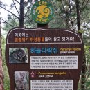 뜬봉샘생태공원 Daum카페