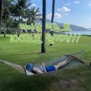 300로얄당구장 | 나트랑 더아남 리조트 100프로 즐기는 방법 발코니 가든뷰 (수영장,조식,저녁배달,미미프루츠)