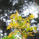 사초경로당 티스토리