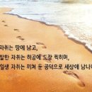 내가본꽃씨 이미지